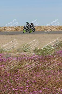 media/Mar-12-2023-SoCal Trackdays (Sun) [[d4c8249724]]/Turn 15 Inside Bloom (130pm)/